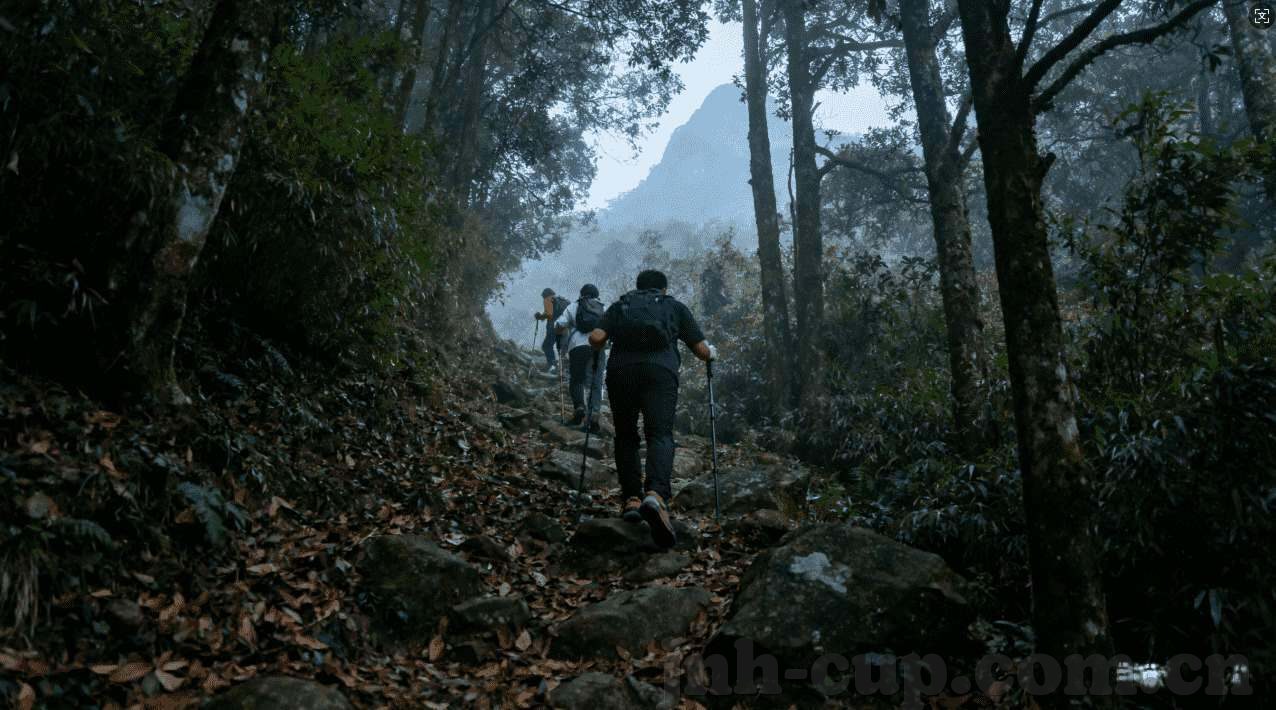 178体育免费直播手机APP-178体育免费直播手机APP，随时随地，掌握体坛精彩瞬间